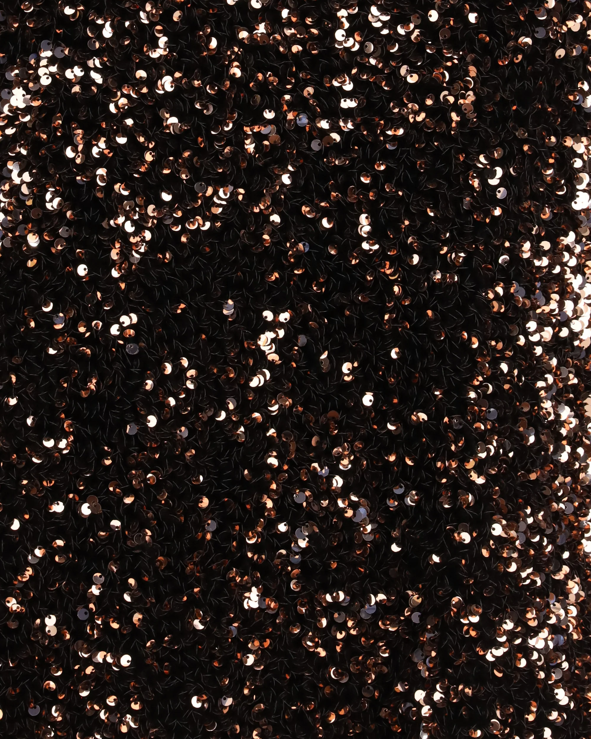 Sequined Blouse - Image 5