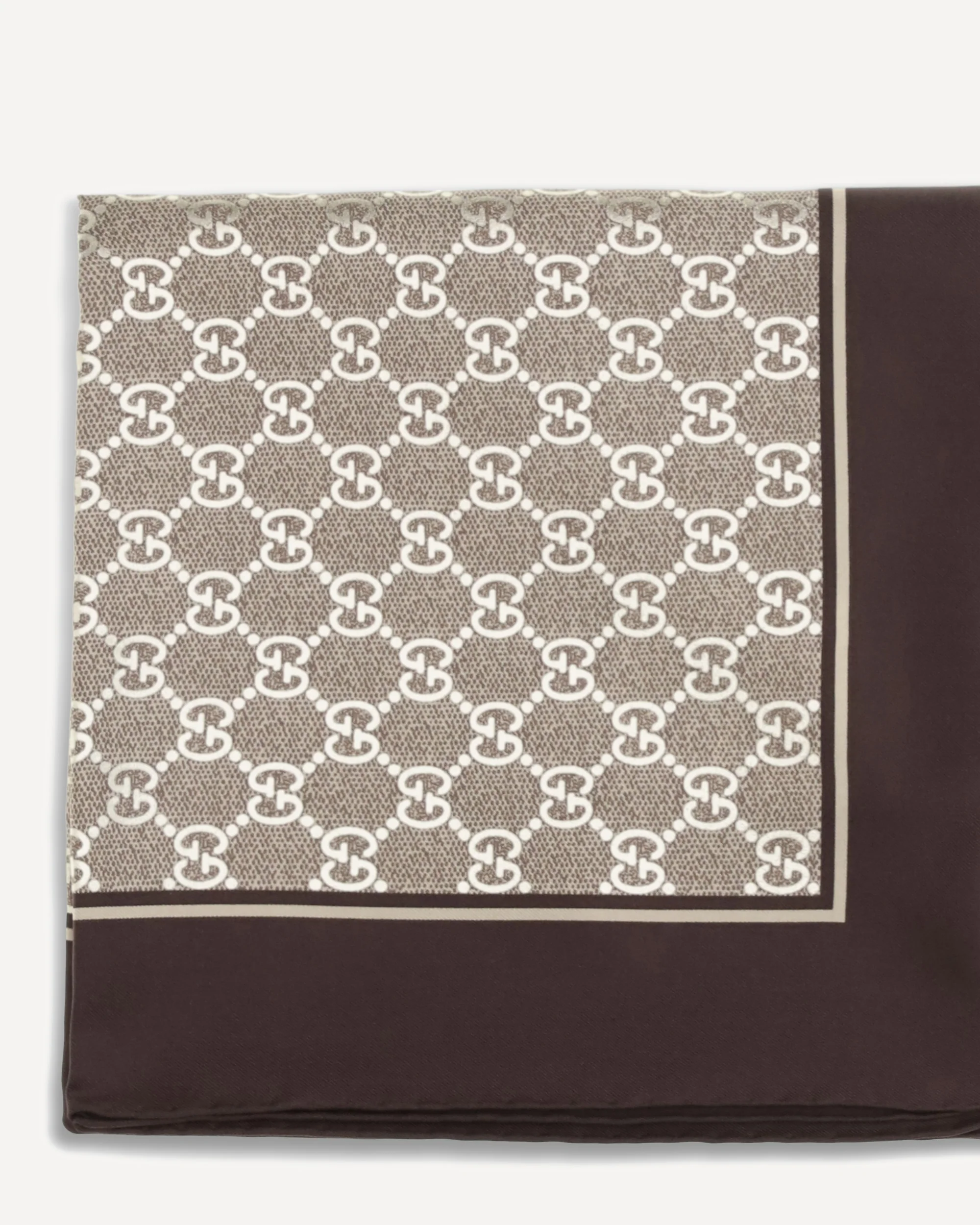 Laminated printed silk Scarf - Image 5