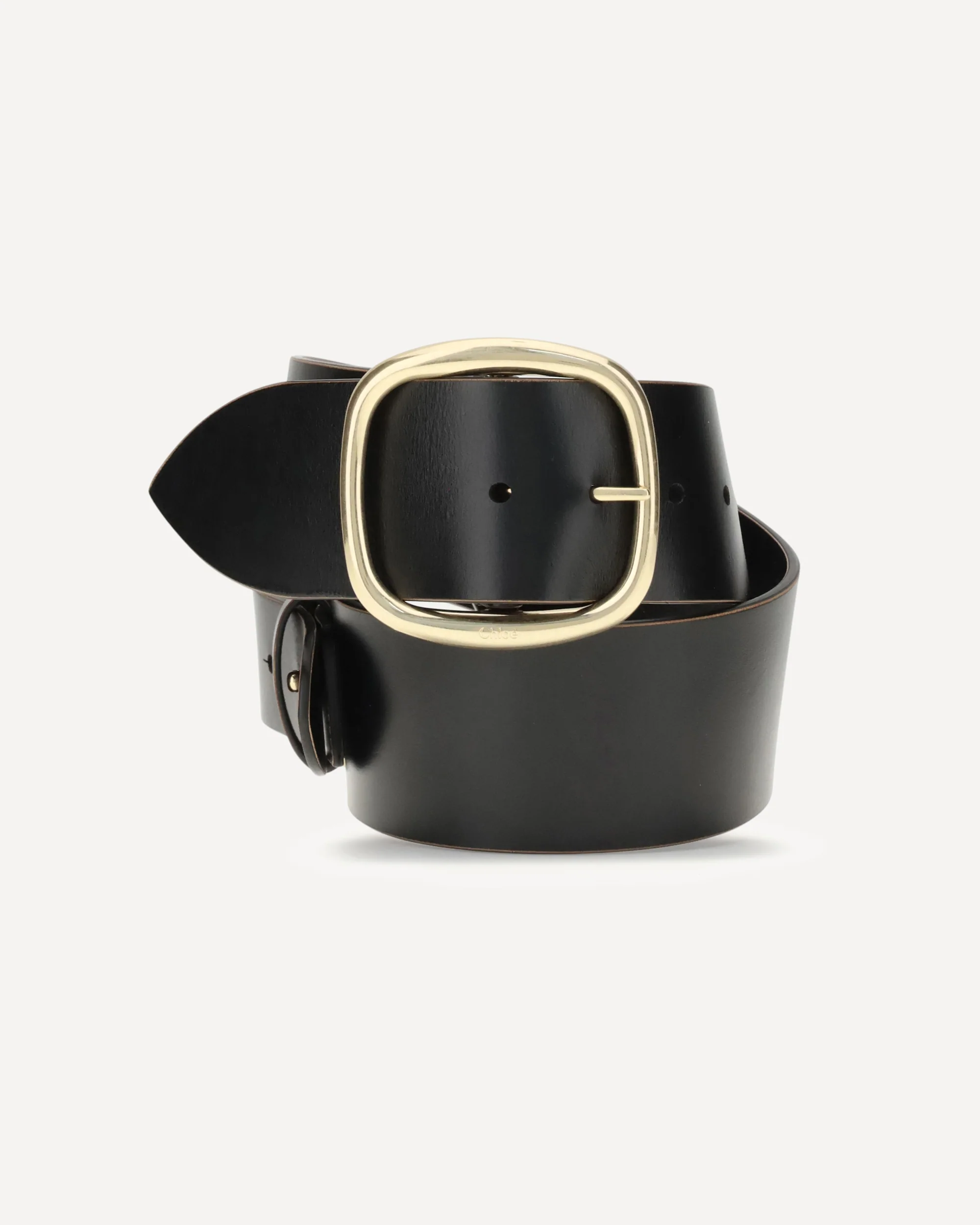 Anita Belt - Image 3