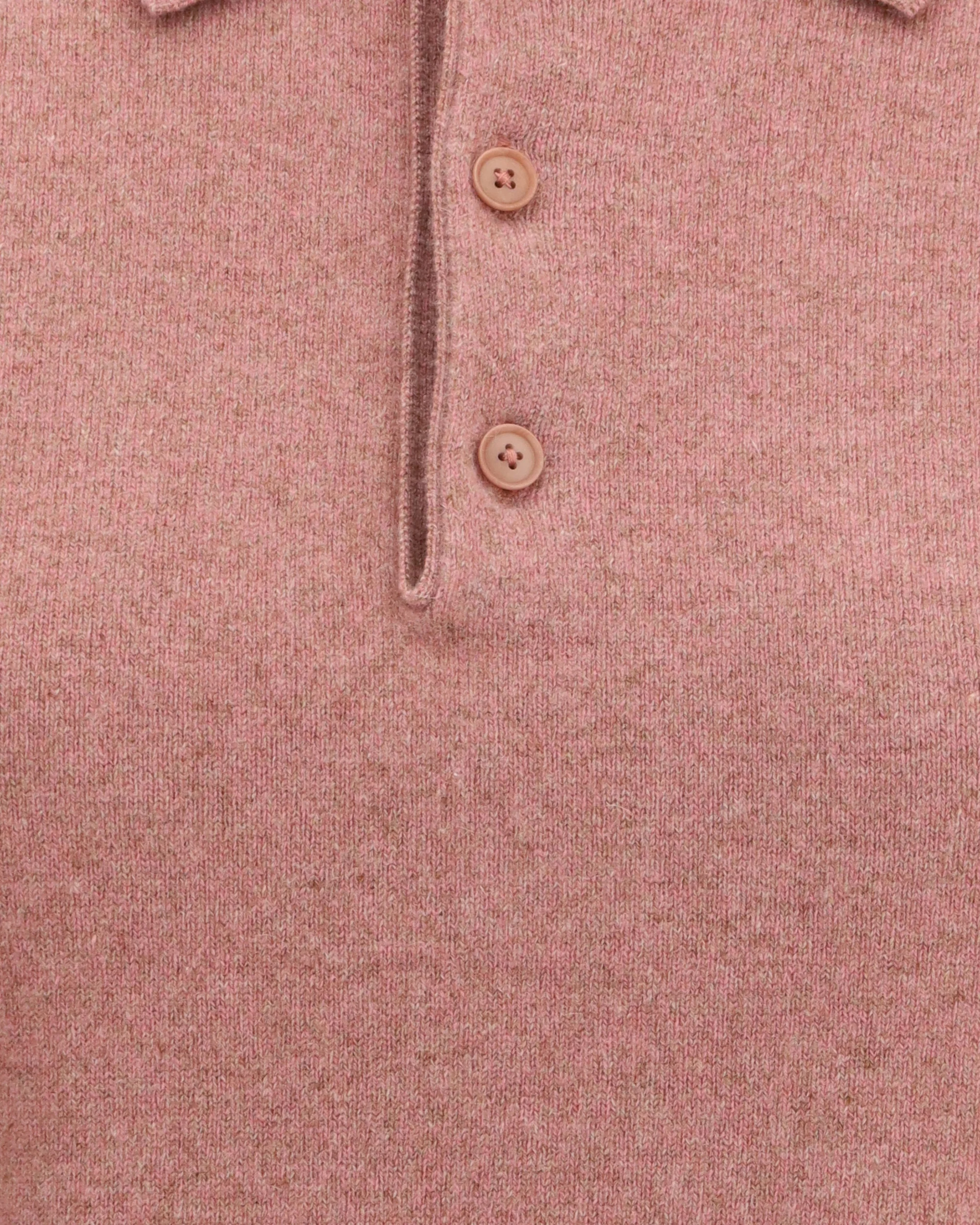 Cashmere Polo Sweater n°198 Salamander - Image 5